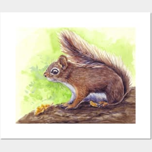 Squirrel Posters and Art